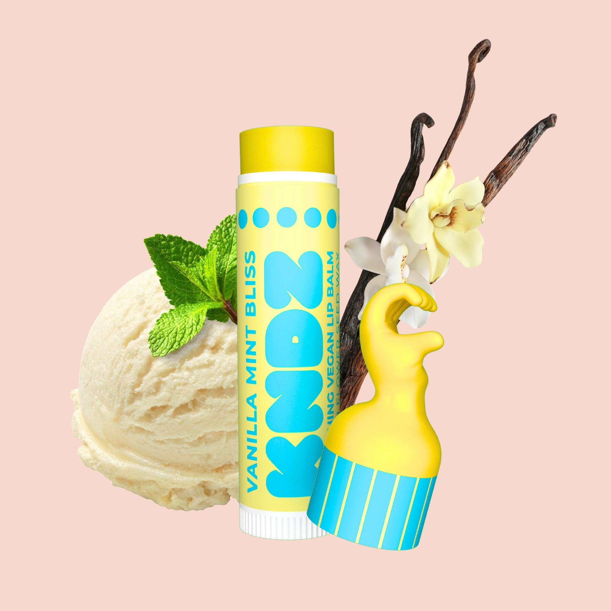 Love Vegan Lip Balm Set